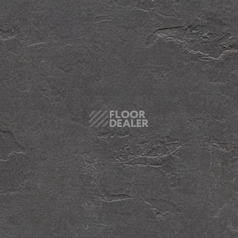 Линолеум Forbo Marmoleum Decibel on Order e372535 welsh slate фото 1 | FLOORDEALER